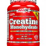 Amix® - Creatine monohydrate 1000g powder